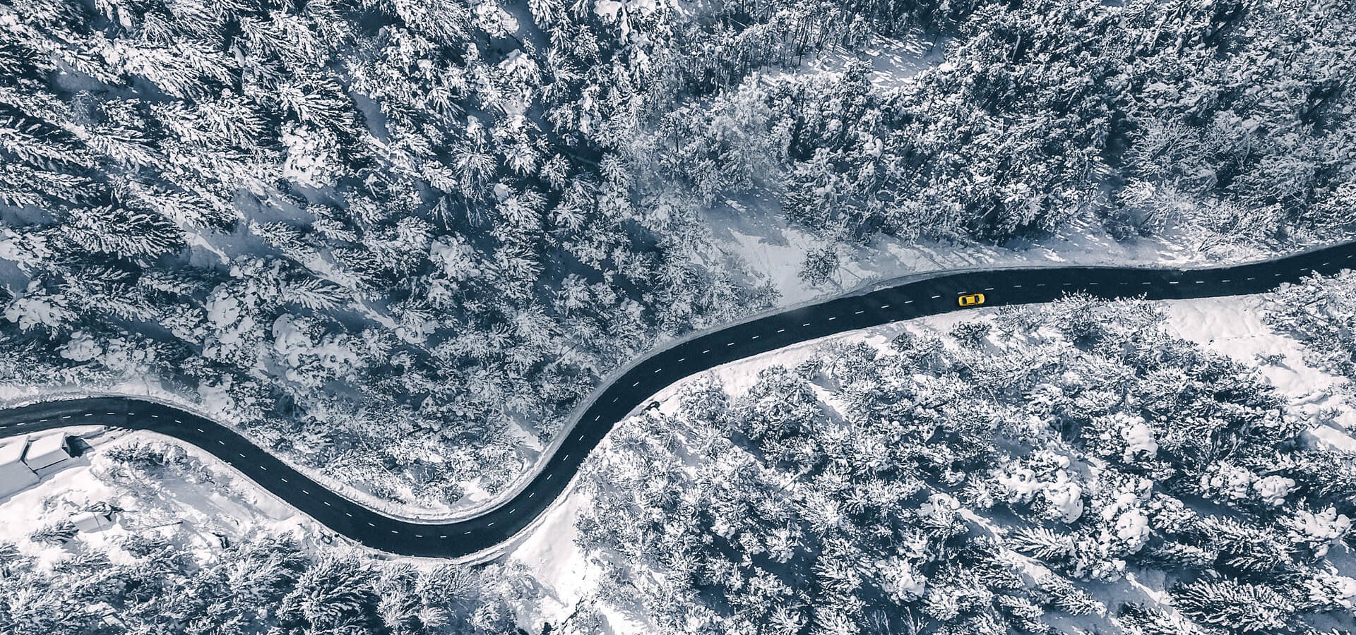 Luftaufnahme eines gelbes Autos, das durch einen verschneiten Wald fährt