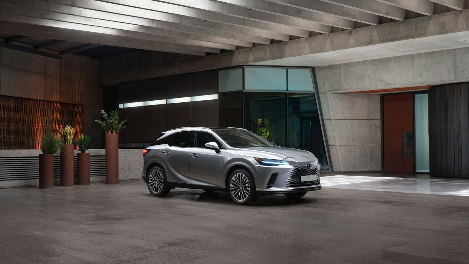 null Grauer Lexus RX